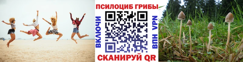 Галлюциногенные грибы MAGIC MUSHROOMS  Чебоксары 